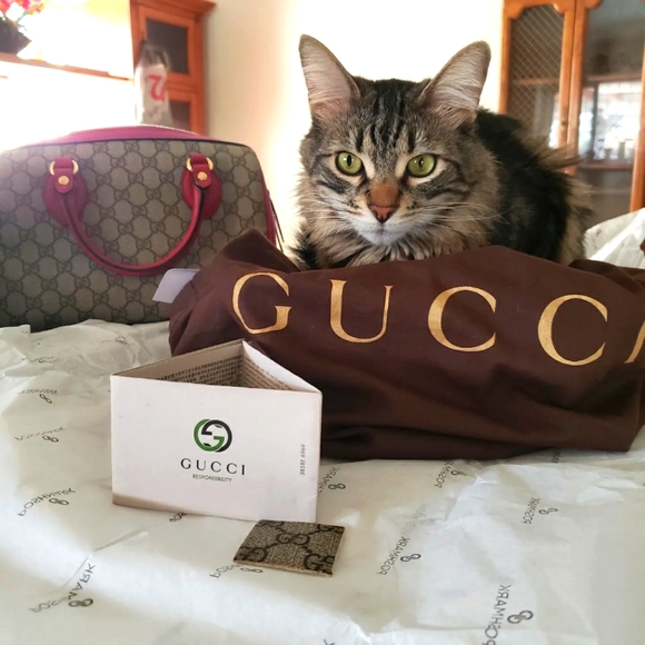 Meet your Posher, Elizabeth - Picture 7 of 12